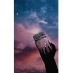 AESTHETIC BERRIES FAN GROUP