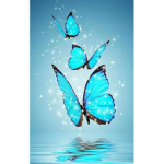 Aubree’s butterflies