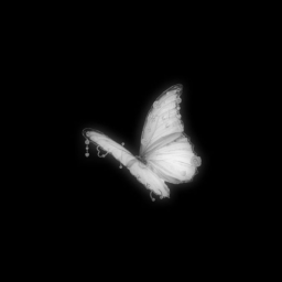 ※