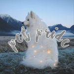 Pet pride