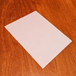 Project Papyrus