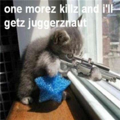 Funny Cat Decal 9 Roblox decal