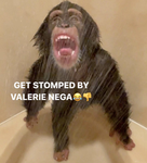 pookiebearsXO