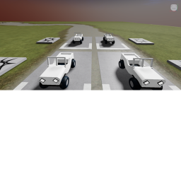 Raceing