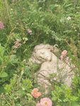 Valentine's Garden