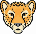 Cheetah studios