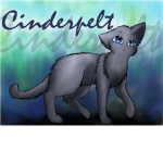 ♥♥♥Cinderpelt♥♥♥