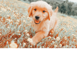 ~luvzz~
