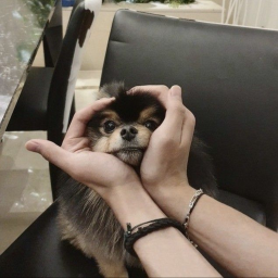 ~