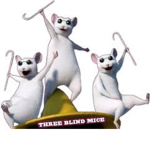 Thik sisters squad