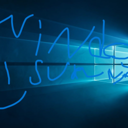 Windows Survival
