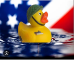 The rubber duck soldiers