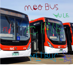 Chile metbus and santiago