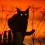 Purrfectly United | WCUE RPs