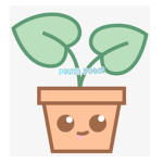 Plant pots!