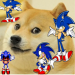 Sonic doge fan club