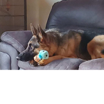 Bored group for chatting