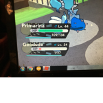 rapid robux gang