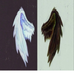 Angels and Demons of the Light and Dark