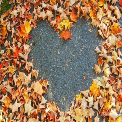 Tumblr fall heart Roblox decal