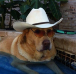Gunnar's rodeo Group Thumbnail