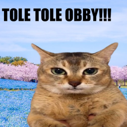 Tole Tole Obby! [50 Stages!]