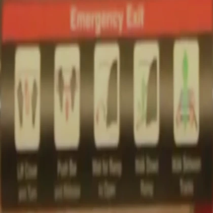 TTC TR Emergency EXIT sign