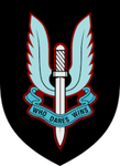 Special Air Service Regiment...