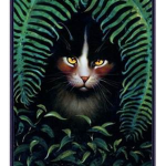Kitty cats rule