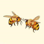 ~Mellow Bee's Vibe~