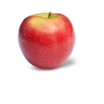 ryan̎̎̎̎̎̎̎̎̎̎̎̎
