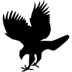 [TCD] Blackbird Shipping Co.