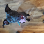 Launch out