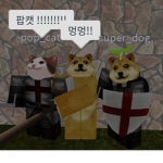 댕댕이/팝켓