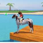 - Blue Ridge Stables -