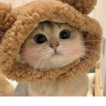 あにまるぐるーぷ
