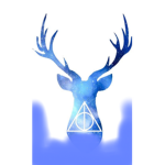 Patronus Co.