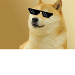 The Doge Guardians
