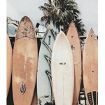 -Surfer's Cove-