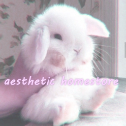 aesthetic clothing homestore