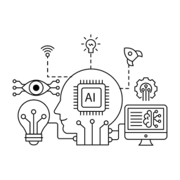 Random Curiosities data