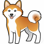 team des chien