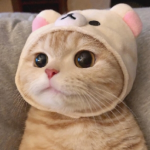hay dont do that