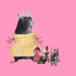 My Little Ratz