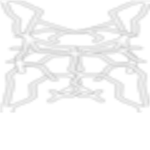 Electrus Clan