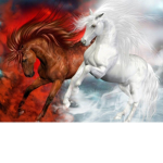 STALLION GROUP FAN