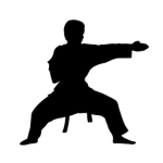 Veka's Dojo