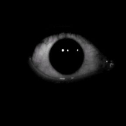 👁️ (SCARY)