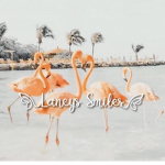 Laneys Smiles!