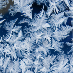 Frost_iced kingdom